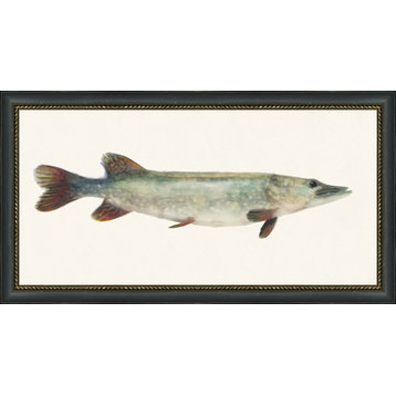Fresh Catch 5, Giclee Reproduction Artwork