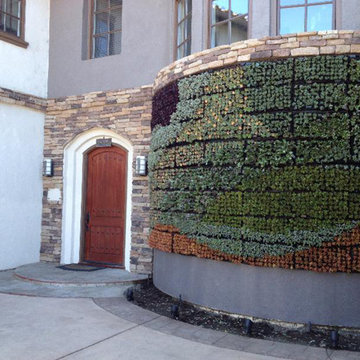 Residential Curved Living Wall
