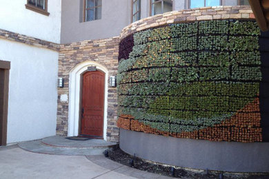 Design ideas for a mid-sized contemporary partial sun front yard landscaping in San Diego.