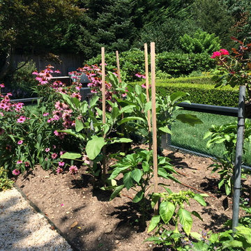 Ornamental and Edible