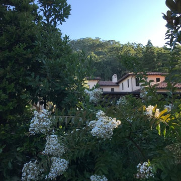 European Villa