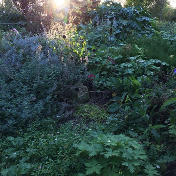 Jardin experimental à Amiens