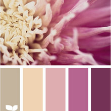 Petal palette