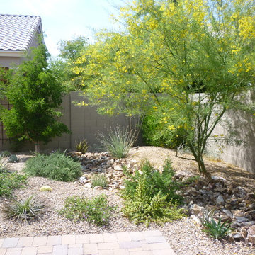 Plantings - 1.5 Years