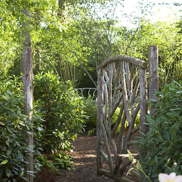 Enchanted Woodland at Wilson Point