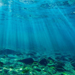 Marine Parade Shallows by Joel Coleman - Photographs