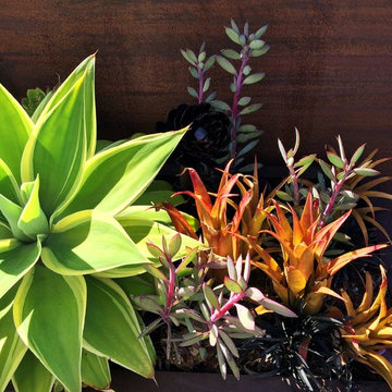 Container Arrangements