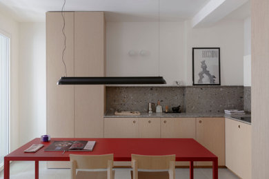 Immagine di una cucina contemporanea di medie dimensioni