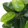 Artificial Rubber Plant 51-Inch