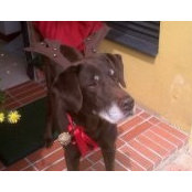 Maria Echeverri's photo