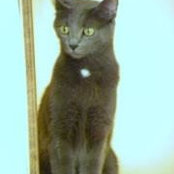 Charlene Ricketts's photo