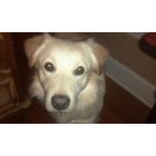 Sylvia Esparza's photo