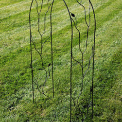 Vining Leaf Arch - Products
