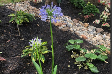 This is an example of a landscaping in Other.