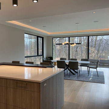 Interior Remodel - NOVA