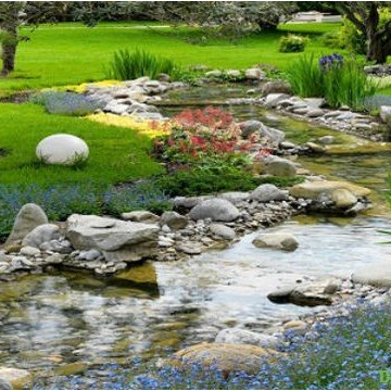 Having a Woodland Garden in Your Outdoor