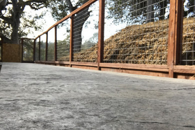 Dog Run/ Custom Concrete and Fence