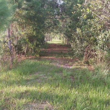 Personal home