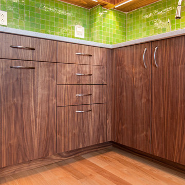 Mid-Century Inspired Clinton Hill Renovation