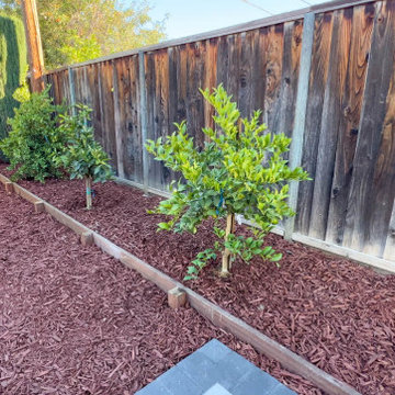Backyard Remodel (Planter Boxes, Walkways, Pavers, Grass, & Tree Install)