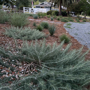 Encinitas Pollinator Garden