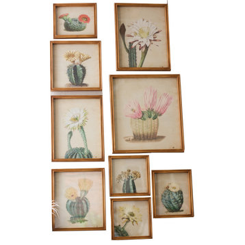 Set of Nine Cactus Flower Prints Under Glass