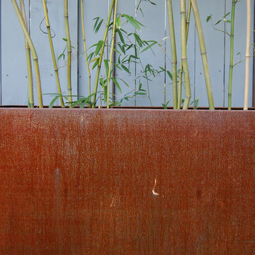 Northwest DC Contemporary garden