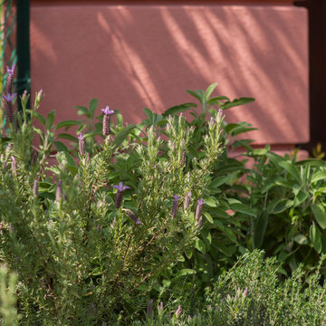 Plain garden design