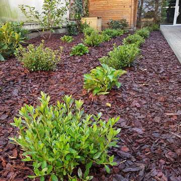 Jardin d'immeuble