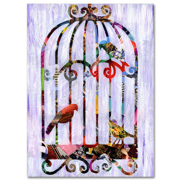 Artpoptart 'Bird Cage' Canvas Art, 19x14
