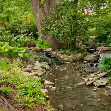 Water Features