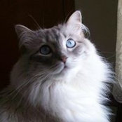 Doreen Lipinski's photo