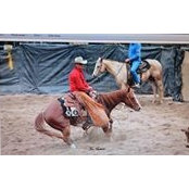 Ian Mckinnon's photo