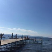 Michael D'Amico's photo