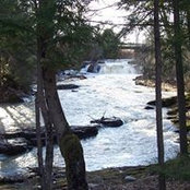 Laurel Heinlein's photo