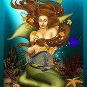 Candi Brooks's photo