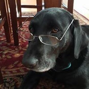 Cheryl Gesser's photo