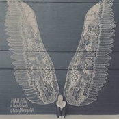 Ginny Grace's photo