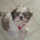 webuser_7990