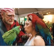 Rachel Donovan's photo