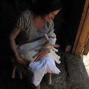 Heather Balogh's photo