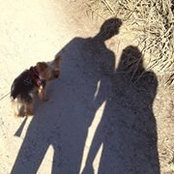 Photo de Shana Tepper