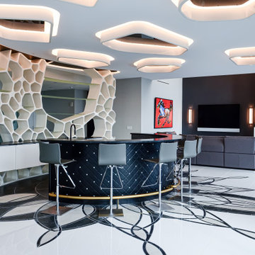 Penthouse Remodel