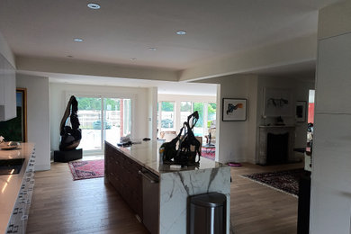 Example of a huge minimalist home design design in Other