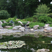 Water garden