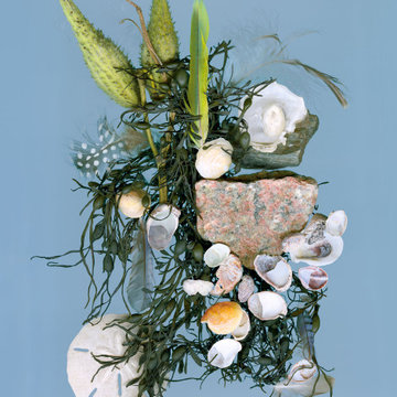 Shoreline Collection
