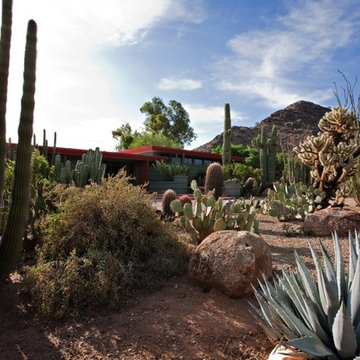 Desert Variety