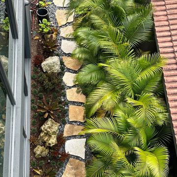 Modern Tropical Landscape South Florida