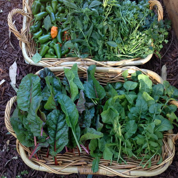 ebay, inc. Corporate Vegetable Garden Installation & Employee Garden Education