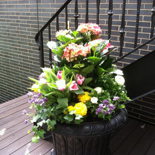 Landscape Ideas